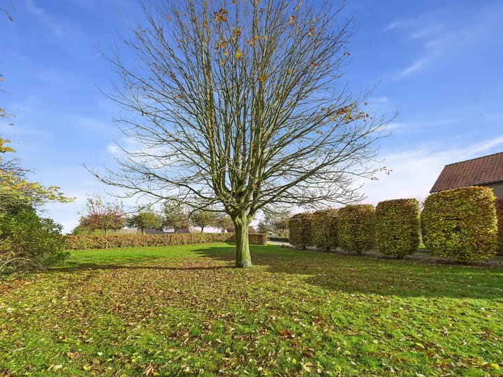 Foto 44 van Het Zand 59