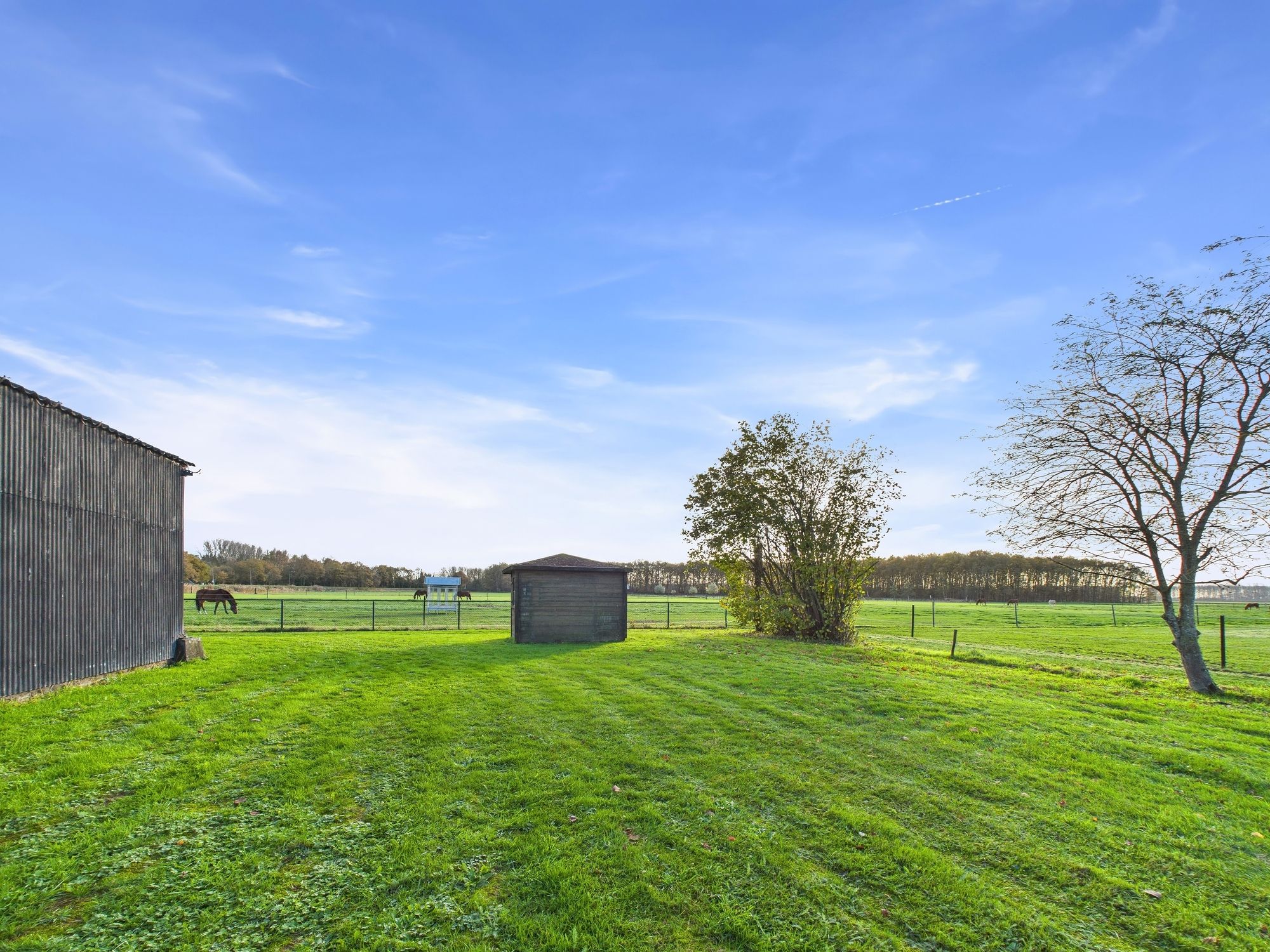 Foto 48 van Het Zand 59