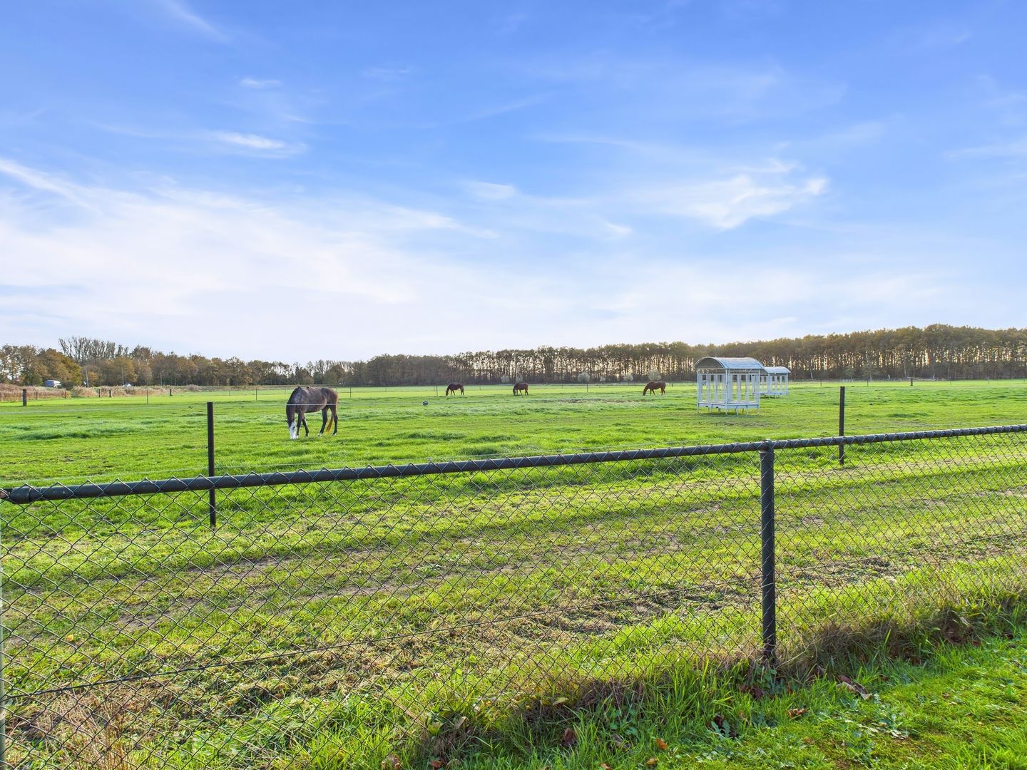 Foto 49 van Het Zand 59