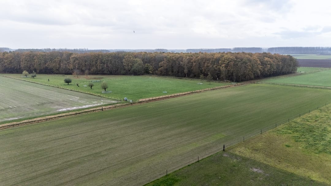 Foto 56 van Het Zand 59