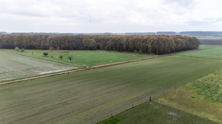 Foto 56 van Het Zand 59