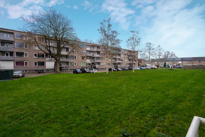 Photo 43 of Europalaan 235