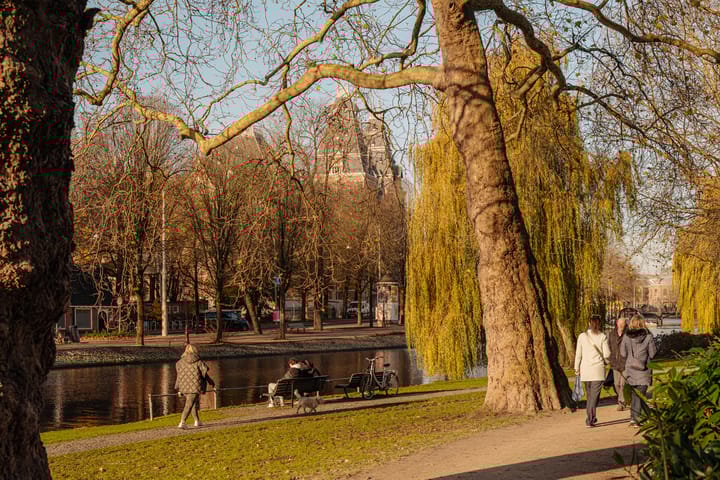 Foto 37 van Den Texstraat 30-2