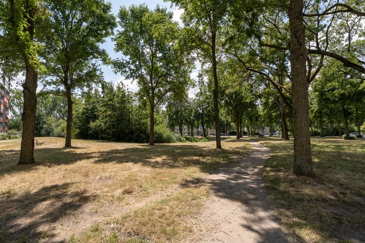 Foto 30 van Lelystraat 2-F77