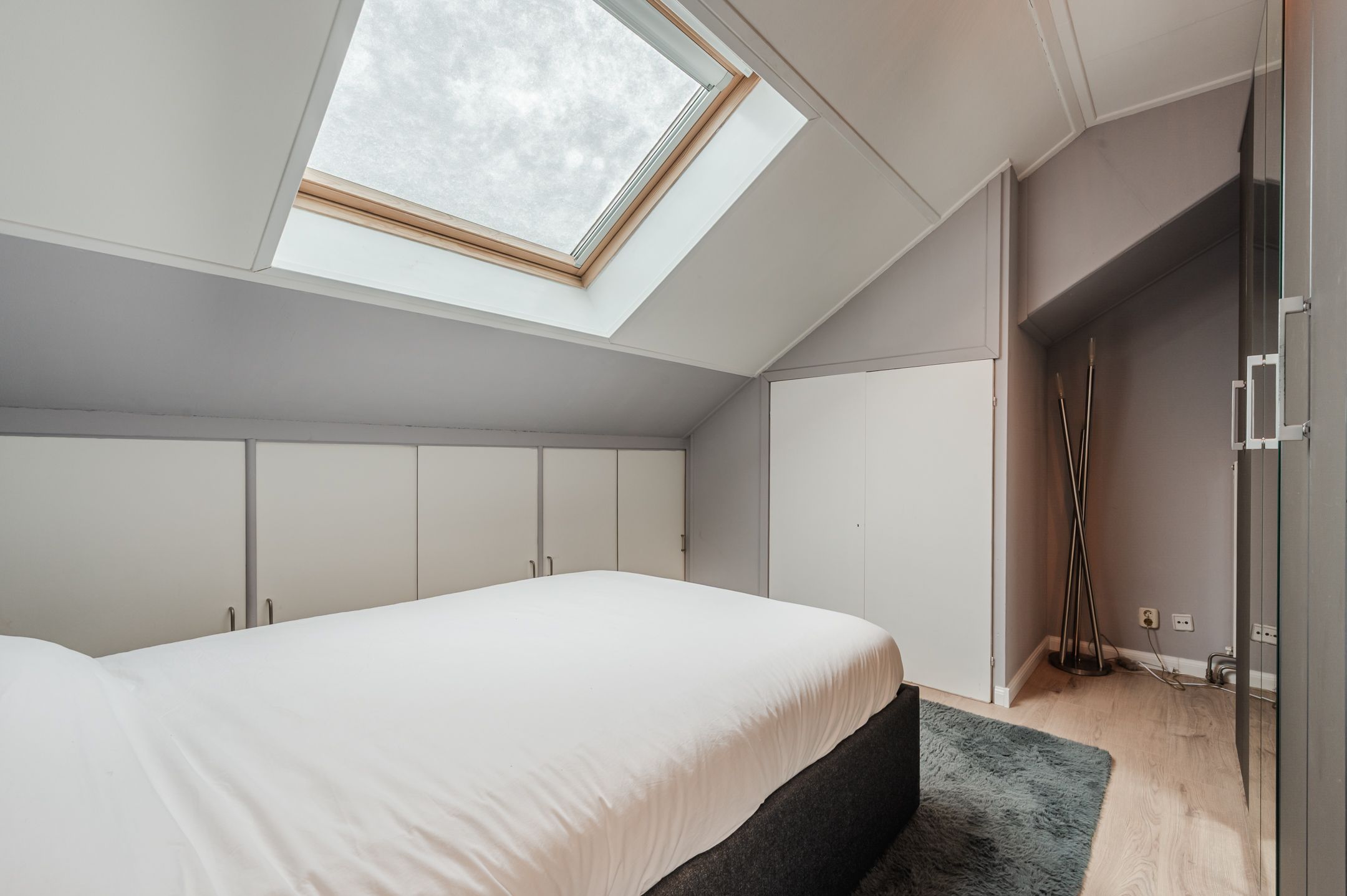 Photo 30 of Honingklaver 8