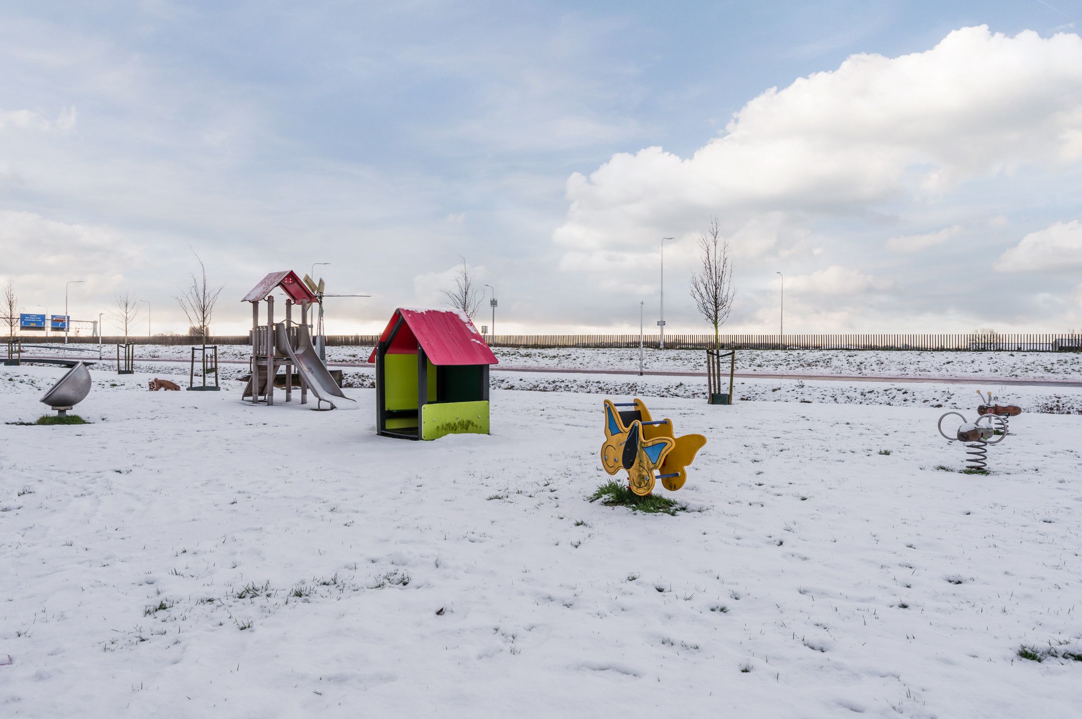 Photo 45 of Honingklaver 8