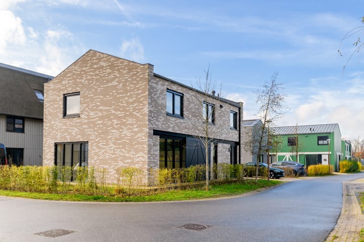 Foto 26 van Grote Lijster 7