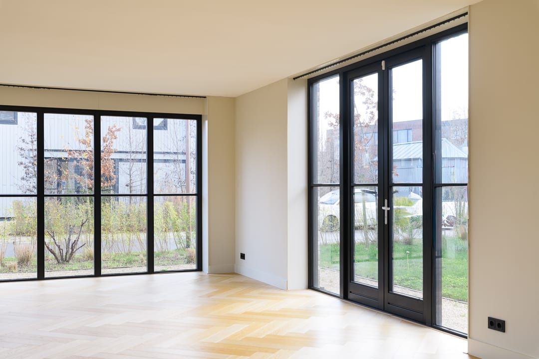 Foto 7 van Grote Lijster 7