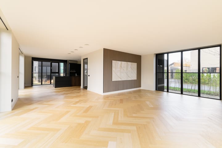 Foto 3 van Grote Lijster 7