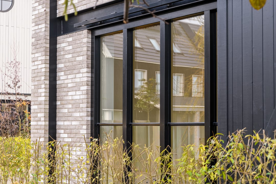 Foto 28 van Grote Lijster 7