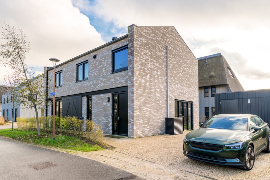 Foto 2 van Grote Lijster 7