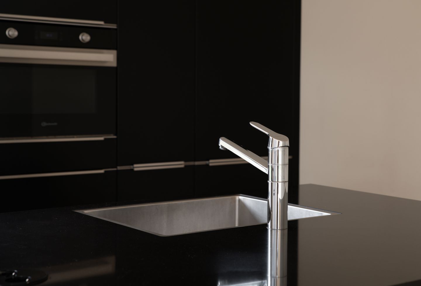 Foto 14 van Grote Lijster 7