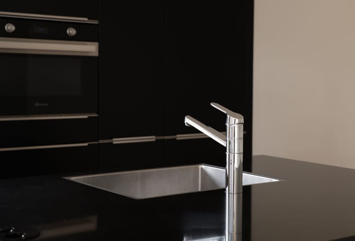 Foto 14 van Grote Lijster 7