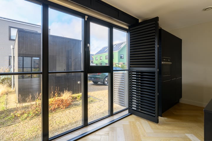 Foto 15 van Grote Lijster 7