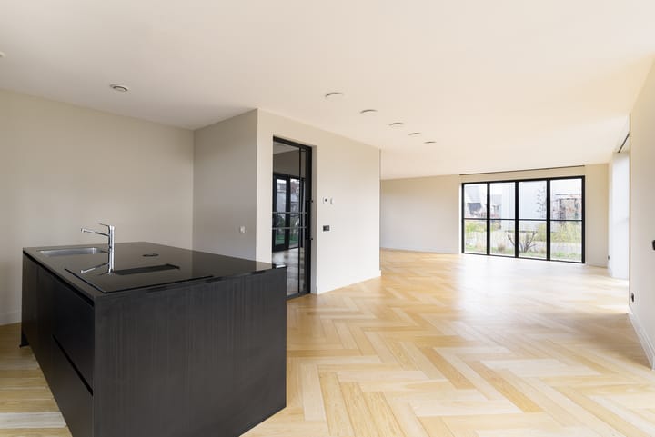 Foto 13 van Grote Lijster 7