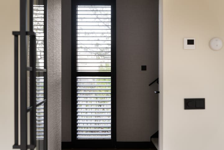 Foto 16 van Grote Lijster 7