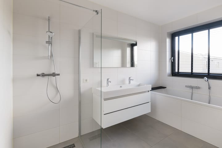 Foto 21 van Grote Lijster 7