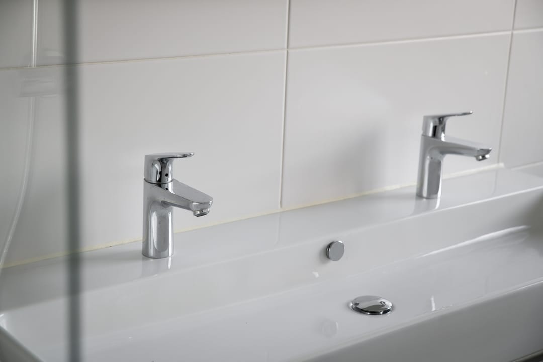 Foto 22 van Grote Lijster 7