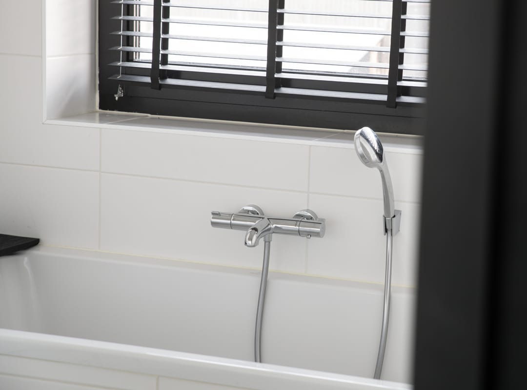 Foto 23 van Grote Lijster 7