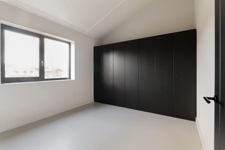 Foto 25 van Grote Lijster 7