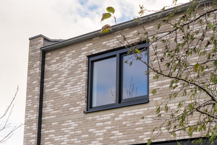 Foto 30 van Grote Lijster 7