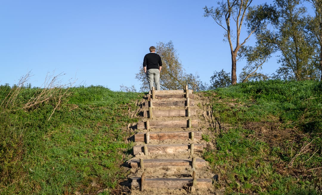 Foto 37 van Grote Lijster 7