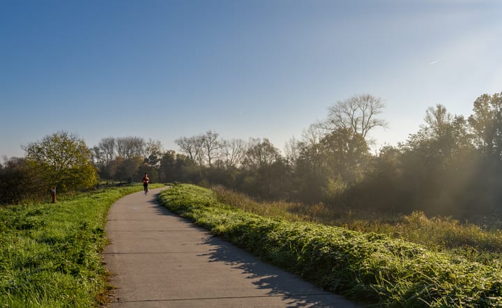 Foto 38 van Grote Lijster 7