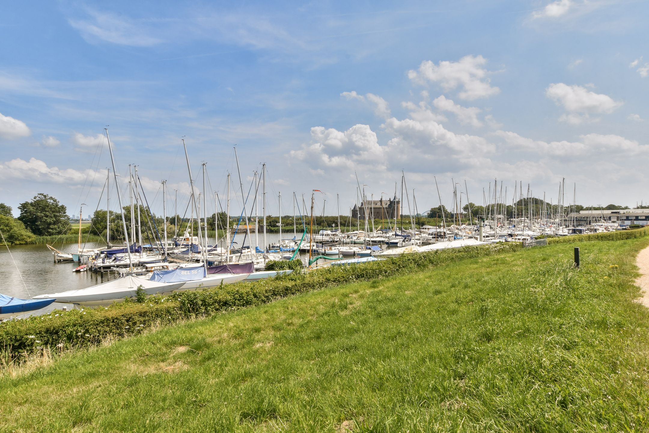 Foto 39 van Grote Lijster 7