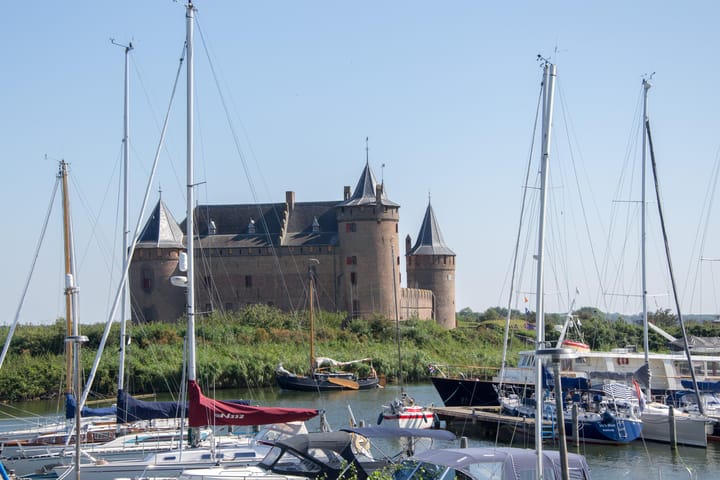 Foto 41 van Grote Lijster 7