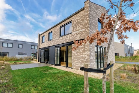 Grote Lijster thumbnail