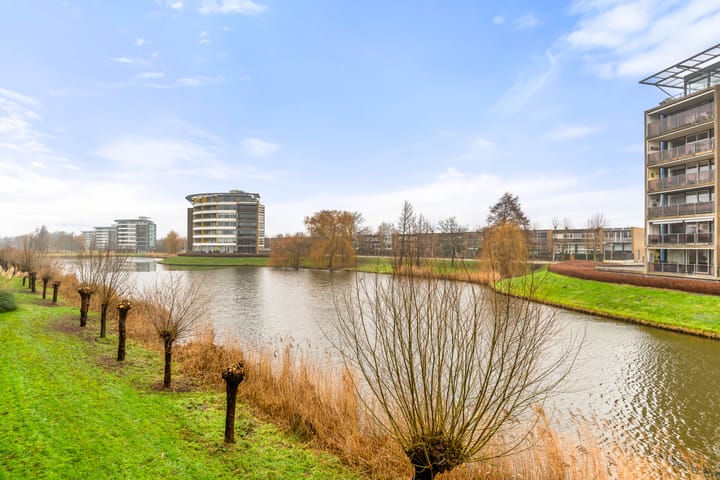 Foto 48 van L. Brownstraat 41