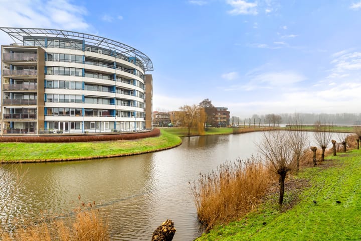 Foto 49 van L. Brownstraat 41