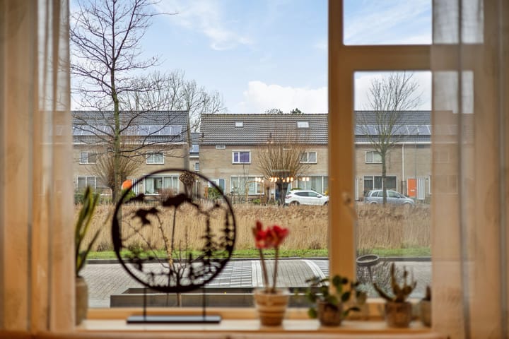 Foto 10 van Stadhouderslaan 49