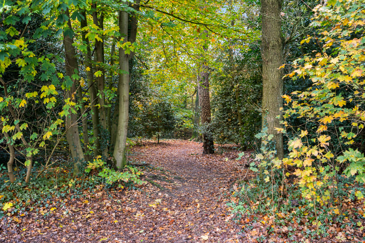 Foto 45 van Willem Welgravenlaan 5