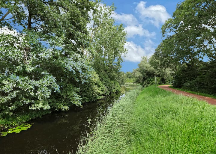 Foto 43 van Lekerwaard 19