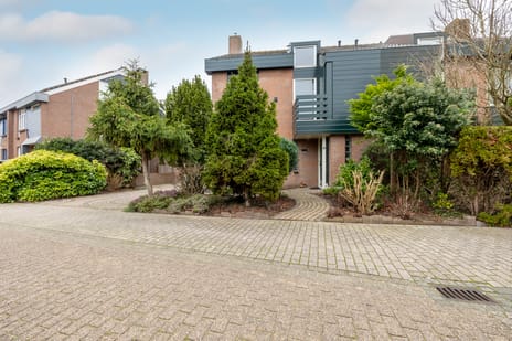 Fluitekruid 5 tertiary image