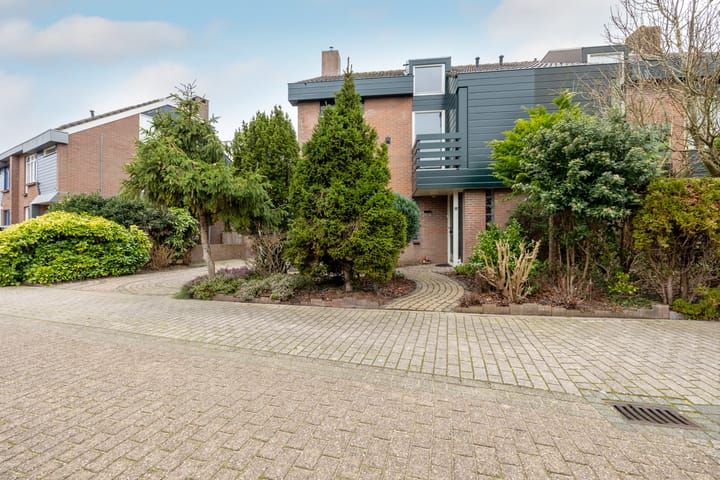 Photo 5 of Fluitekruid 5