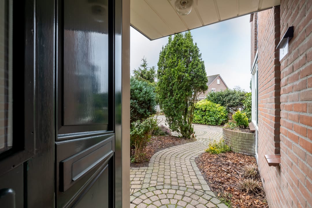 Photo 7 of Fluitekruid 5