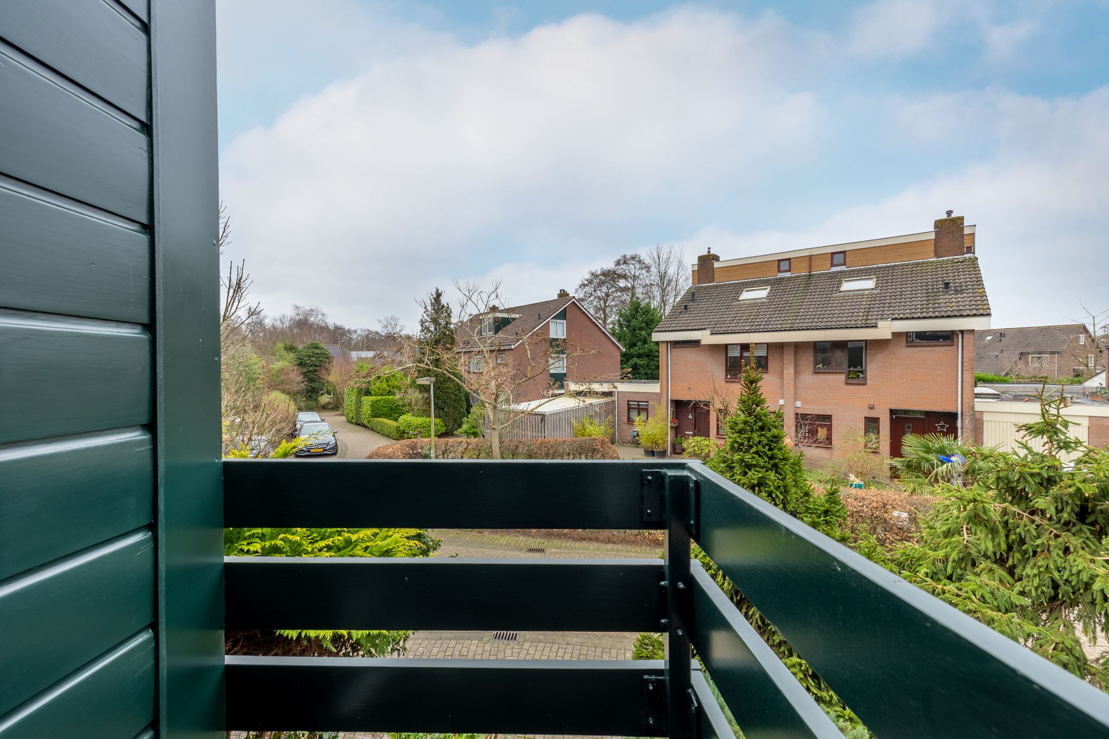 Photo 21 of Fluitekruid 5