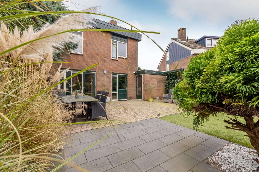 Photo 38 of Fluitekruid 5