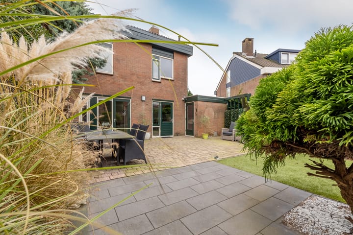 Photo 38 of Fluitekruid 5