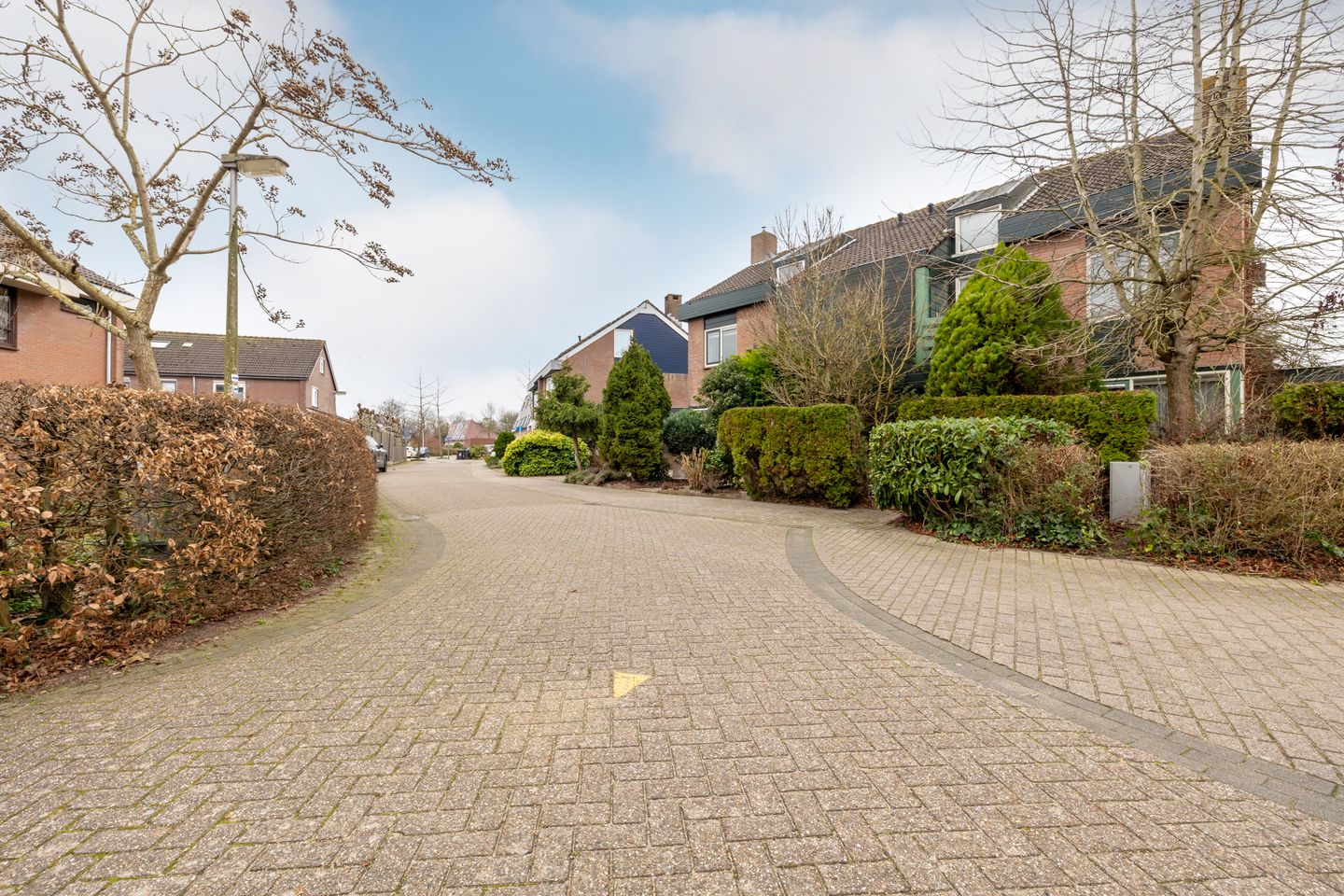 Photo 40 of Fluitekruid 5