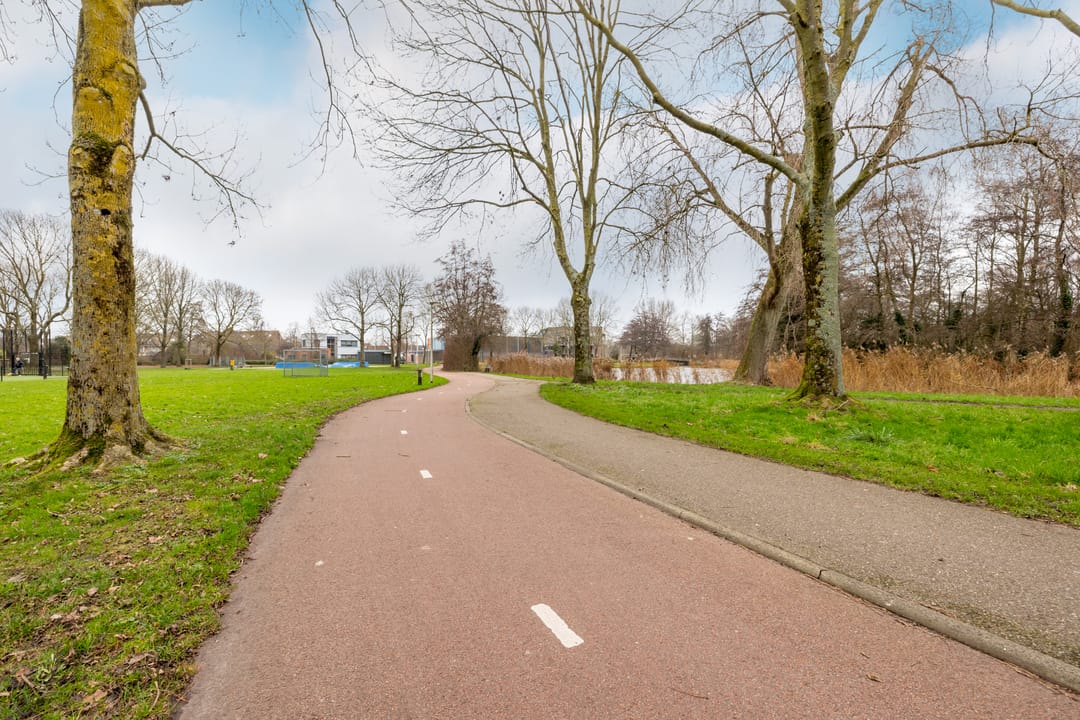 Photo 41 of Fluitekruid 5