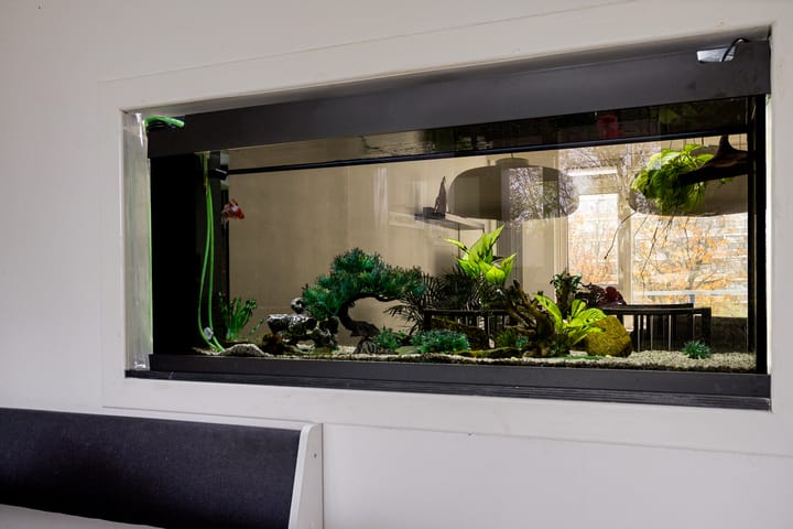 Foto 23 van Martin Luther Kinglaan 460