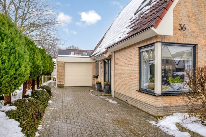 Foto 29 van Zuidmaad 36