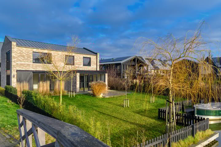 Foto 2 van Groene kikker 2