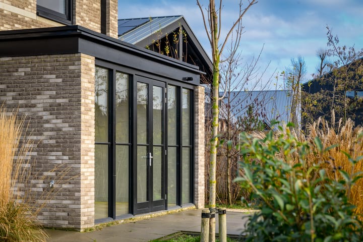 Foto 28 van Groene kikker 2