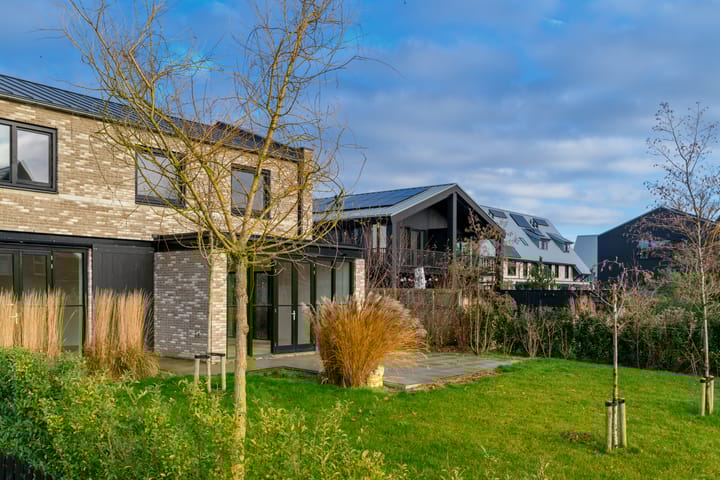 Foto 24 van Groene kikker 2