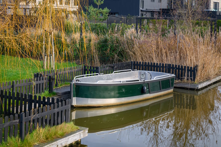 Foto 26 van Groene kikker 2