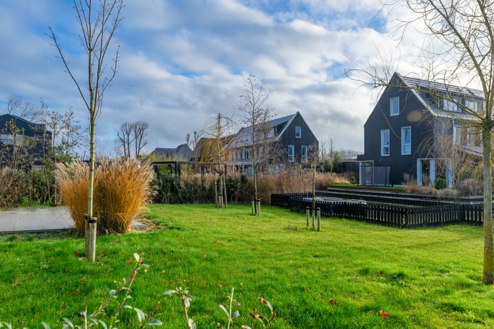 Foto 25 van Groene kikker 2